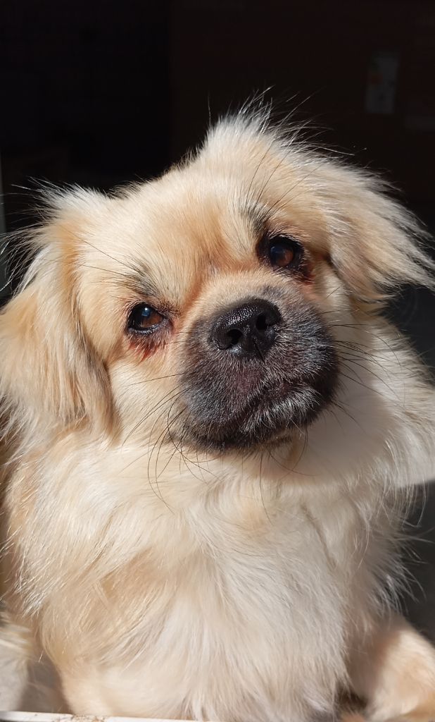 Vegas Des Légendes Champenoises