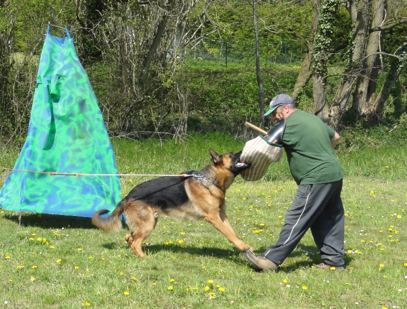 entrainement mordant